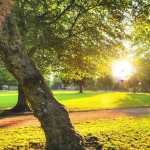 المساحات الخضراء في فيليت سوديك سكاى كوندس