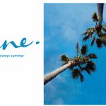 جون-سوديك-الساحل-الشمالى