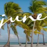 مشروع-جون-سوديك